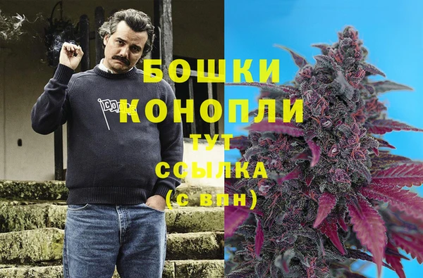 гидра Магадан