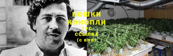 гашиш Магас